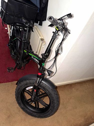 Allegro cargo bike - bike, fat