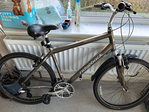 Ridgeback adventure 26in - adventure,