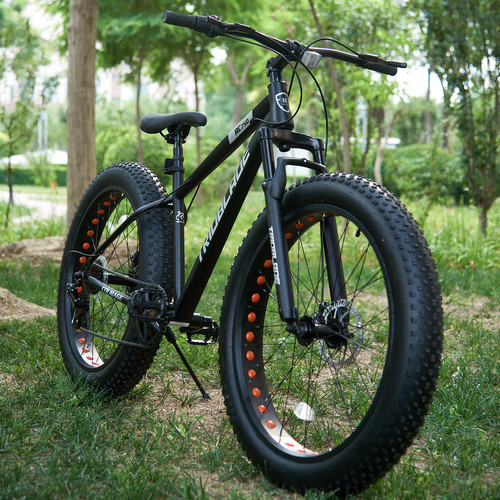 Wheel mountain bike - mountain, fat