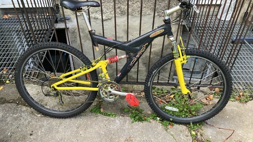Raleigh max cromo - max,