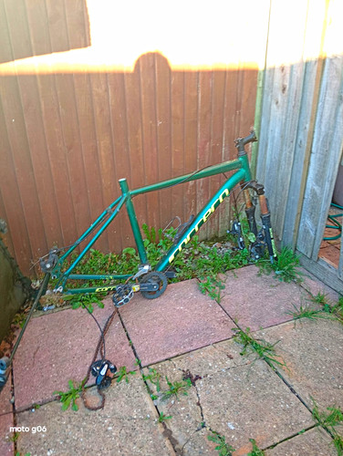 Carrera green 19in - green,