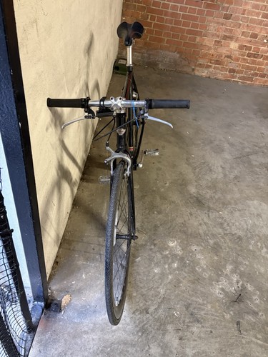 Single gear bicycle