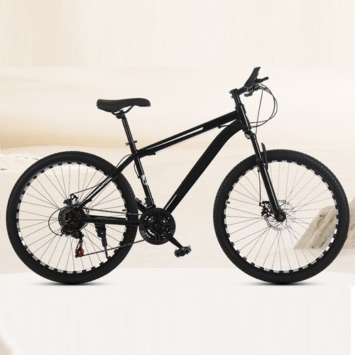 Speed mountain bike - 21, 26''