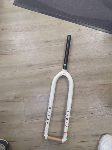 Surley front forks - front, special